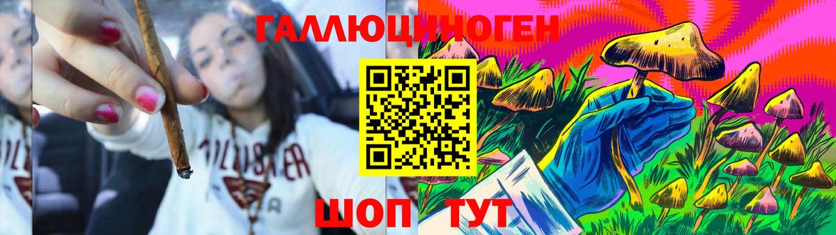 Галлюциногенные грибы Psilocybine cubensis  Вход с VPN  Минеральные Воды 